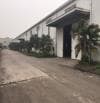 Cho thuê kho xưởng Lô 4 KCN Phố Nối- Mỹ Hào- Hưng Yên. : 1000m2, 5500m2, Cty CP Phúc Anh