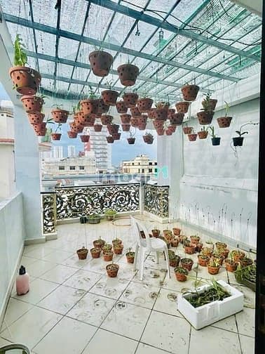 Ngộp, cần bán nhà Hoà Bình, 4x28. 3 lầu. 5Pn 5Wc nhà mới 10,9 tỷ TL - Ảnh 2