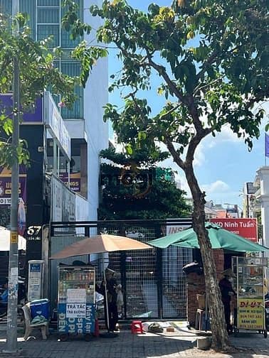 70 tỷ! Bán Nhà Siêu Khan Hiếm MT Đất Thánh quận Tân Bình - 11.5x50m - Ảnh 3