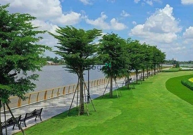 Bán nhà 5 lầu ngang 6m HXH Đặng Thùy Trâm 120m2 gần trường học 17.5 tỷ - Ảnh 3