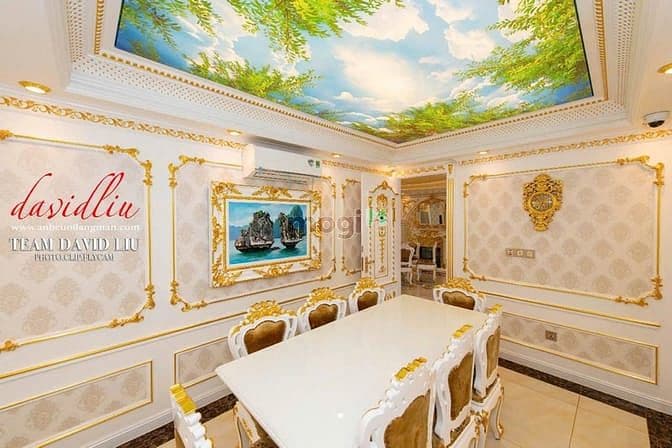 Chính chủ gửi bán căn biệt thự Trần Văn Kiểu Q.6 - 1200M2 - 300 tỷ - Ảnh 3