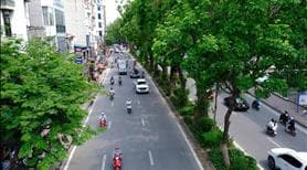 Cho thuê tầng 1 diện tích 324m2 tại Mễ Trì, Nam Từ Liêm - Vô cùng đông đúc - Ảnh 3