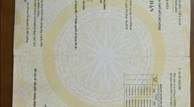 Bán đất Vĩnh Lộc thích hợp để làm xưởng, xây phòng trọ hoặc vừa ở vừa kinh doanh - Ảnh 3