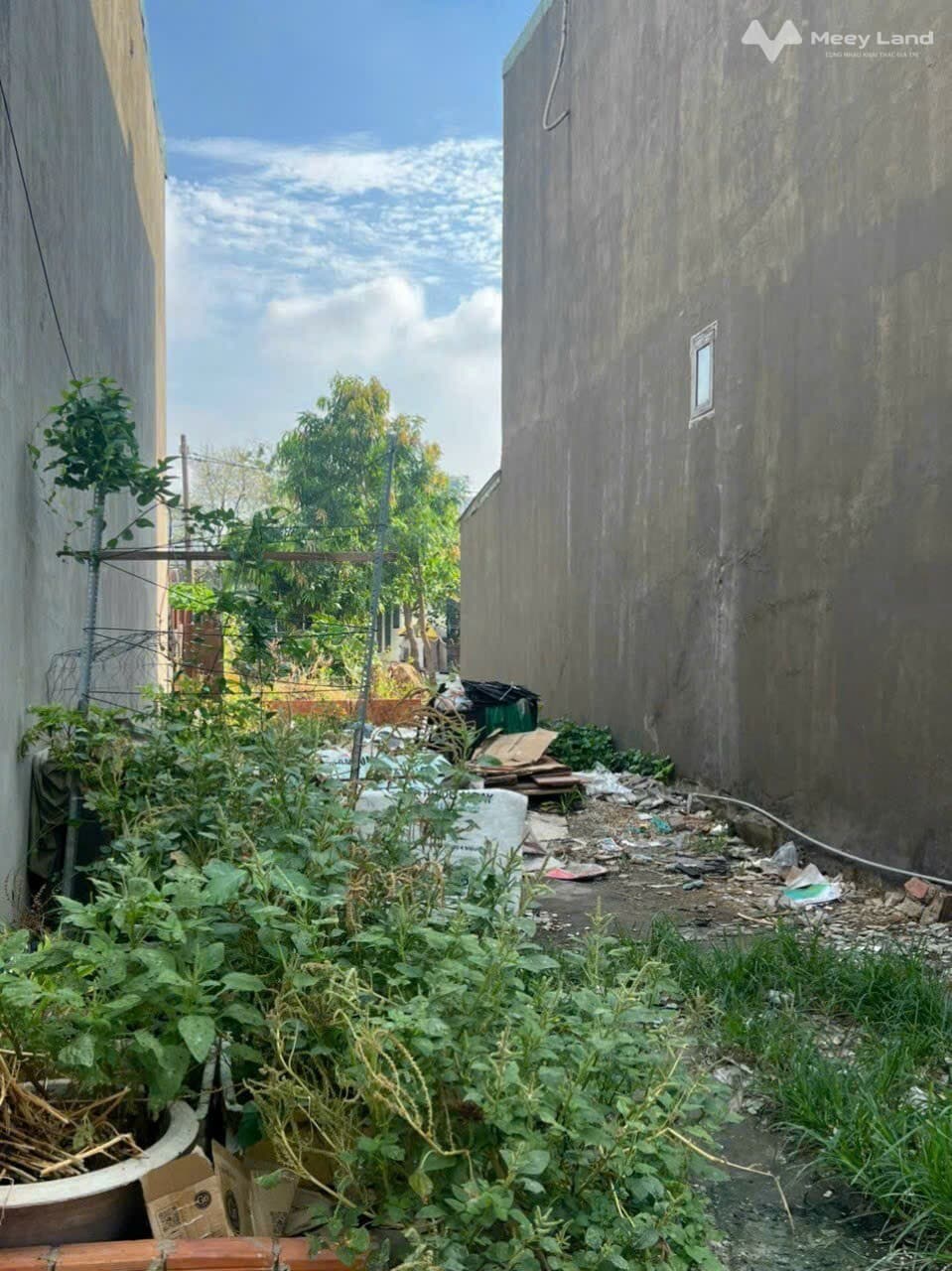 Bán đất P. Hiệp Thành, Q. 12, Tp. Hồ Chí Minh - Ảnh 3