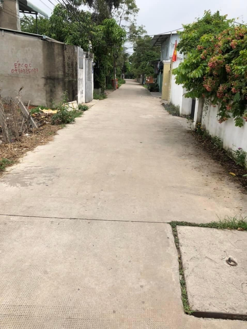 Bán đất Đ. Phạm Văn Hai, X. Phạm Văn Hai, H. Bình Chánh, Tp. Hồ Chí Minh - Ảnh 2