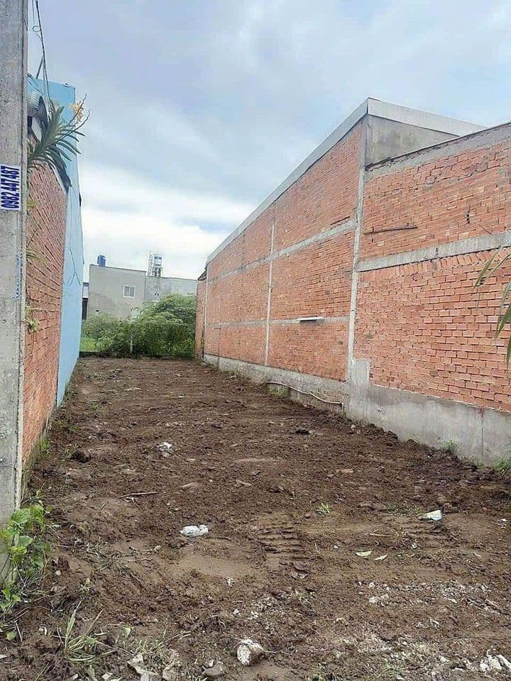 Bán đất Đ. Mỹ Hạnh, X. Mỹ Hạnh Bắc, H. Đức Hòa, T. Long An - Ảnh 3