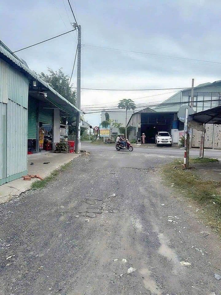 Bán đất Đ. Mỹ Hạnh, X. Mỹ Hạnh Bắc, H. Đức Hòa, T. Long An - Ảnh 2