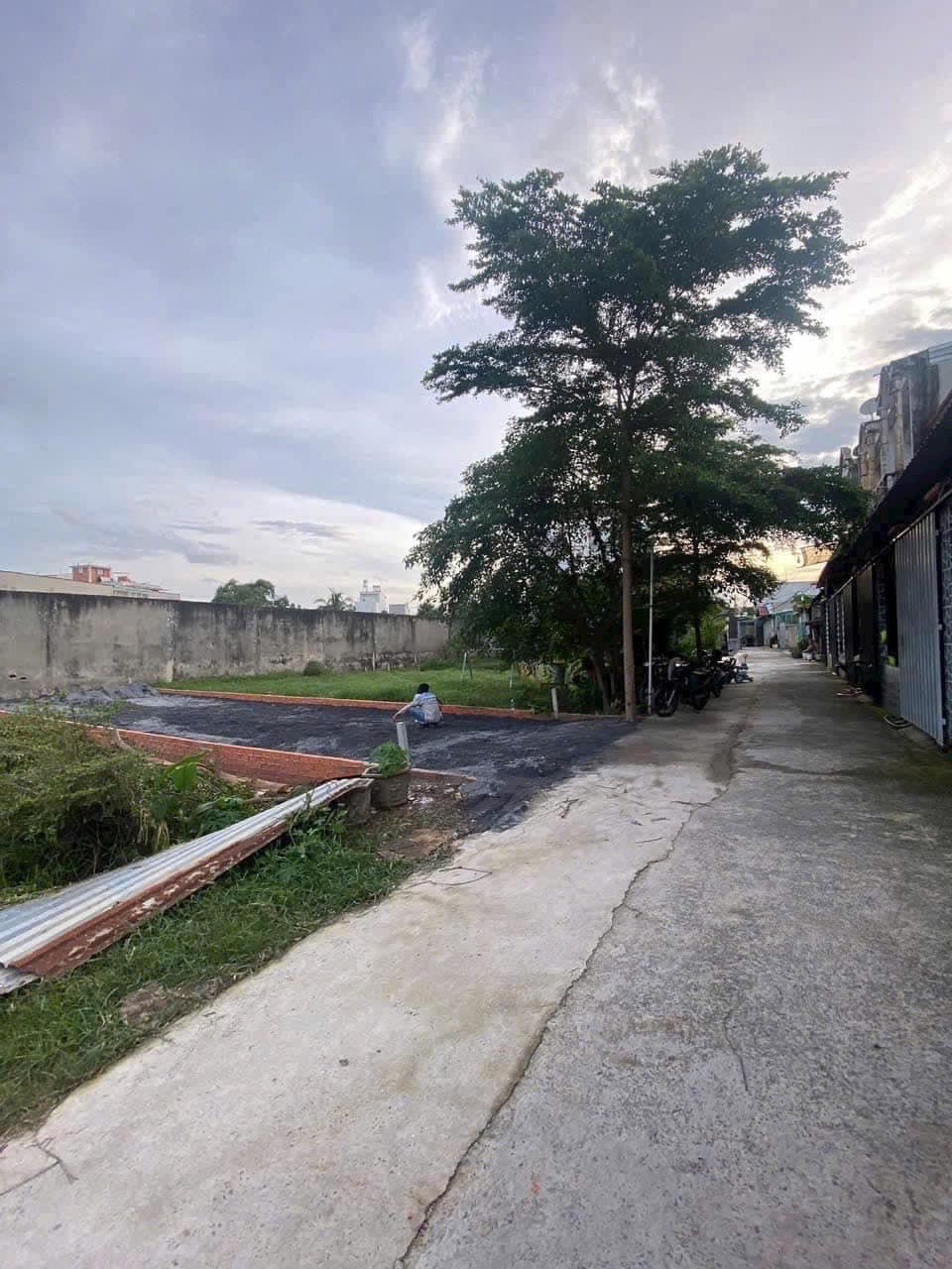 Bán đất Đ. 8, X. Đông Thạnh, H. Hóc Môn, Tp. Hồ Chí Minh - Ảnh 3