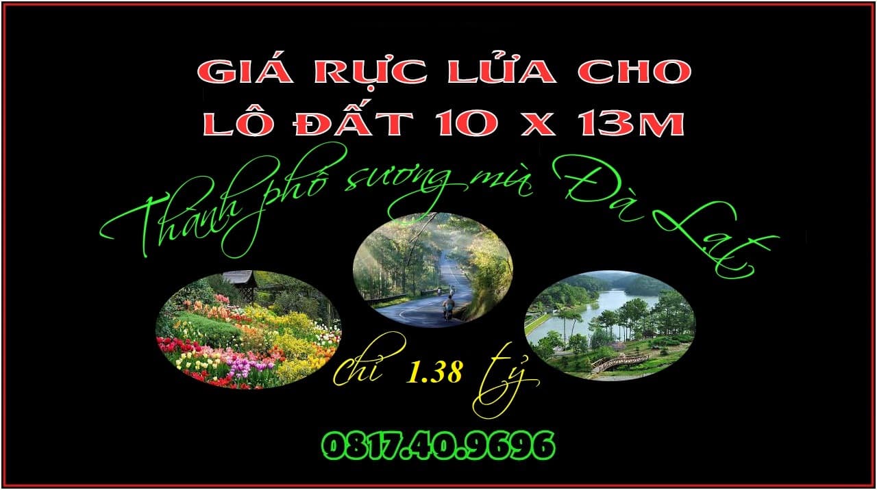 Bán đất Đ. Lê Đại Hành, X. Xuân Trường, Tp. Đà Lạt, T. Lâm Đồng - Ảnh 3