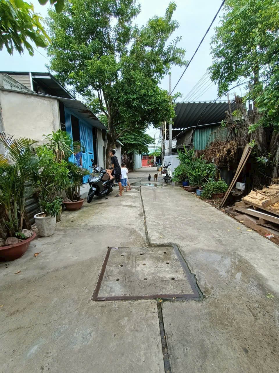 Bán đất H. Bình Chánh, Tp. Hồ Chí Minh - Ảnh 2