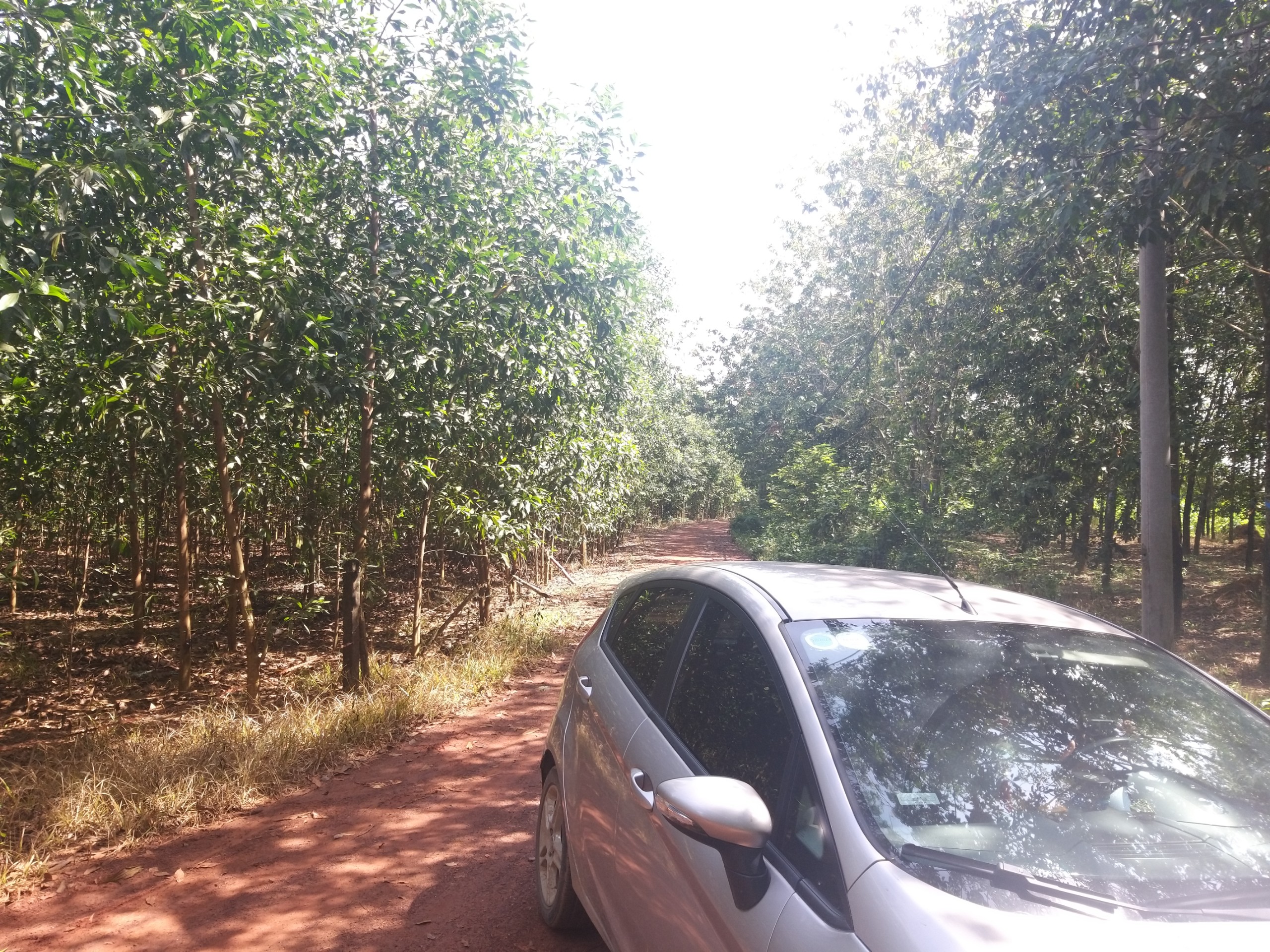 Bán đất Bán 23 hecta đất, Đ. Tân Hiệp, X. Tân Hiệp, H. Long Thành, T. Đồng Nai