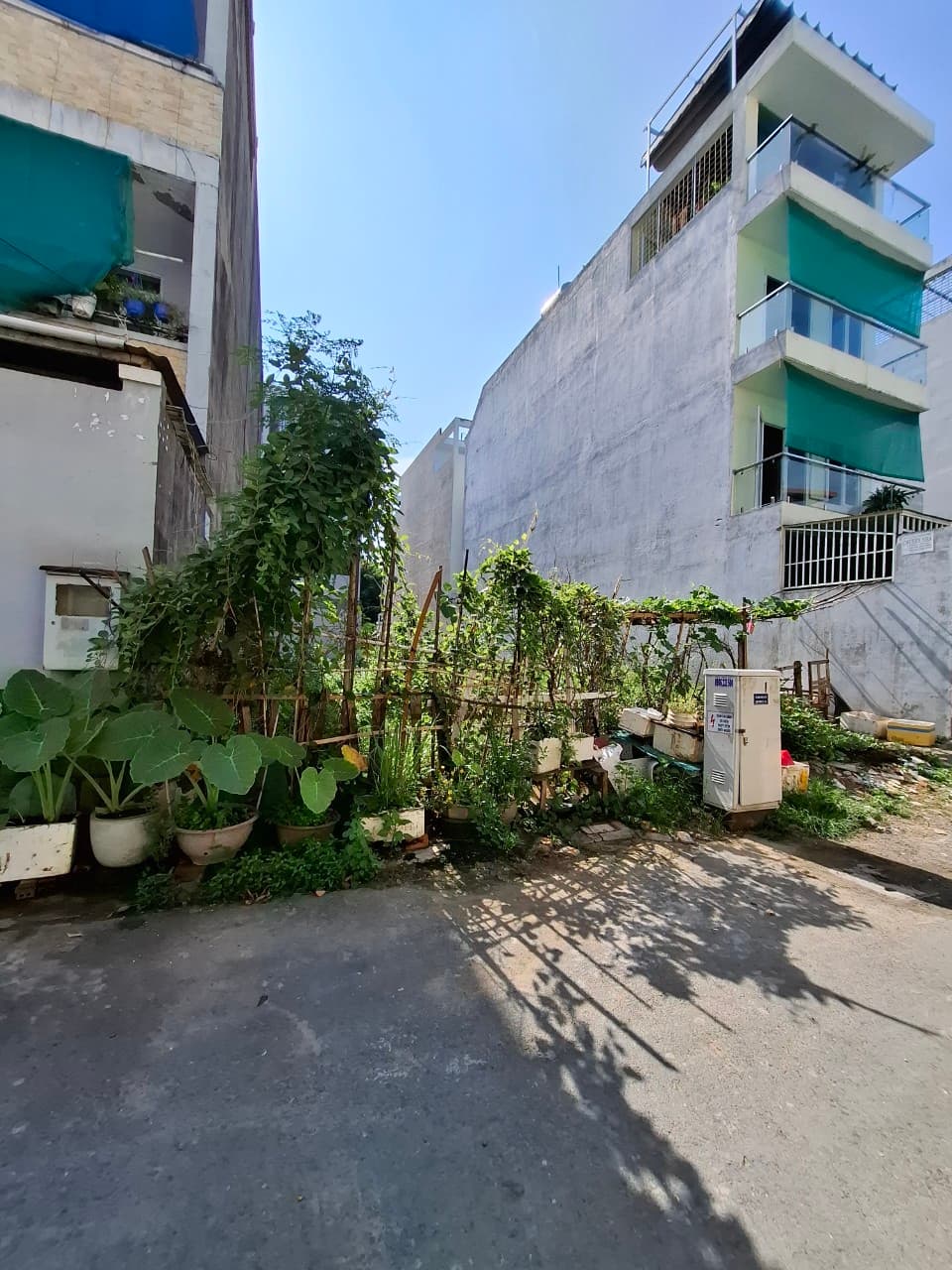 Bán đất P. Long Trường, Tp. Thủ Đức, Tp. Hồ Chí Minh - Ảnh 3