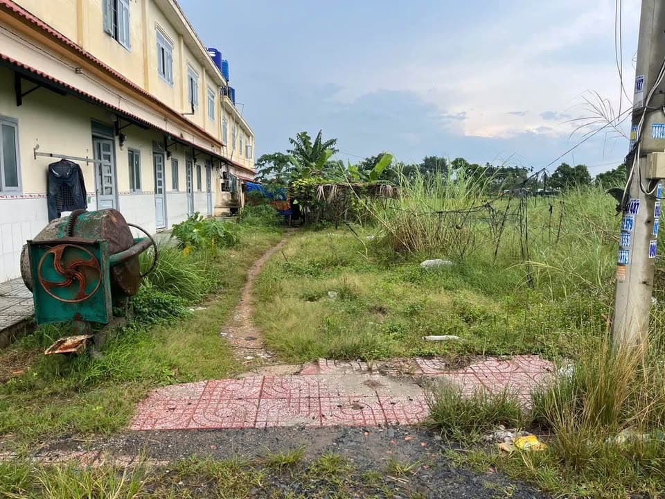 Bán đất Đ. Đức Hòa Thượng, Tt. Đức Hòa, H. Đức Hòa, T. Long An