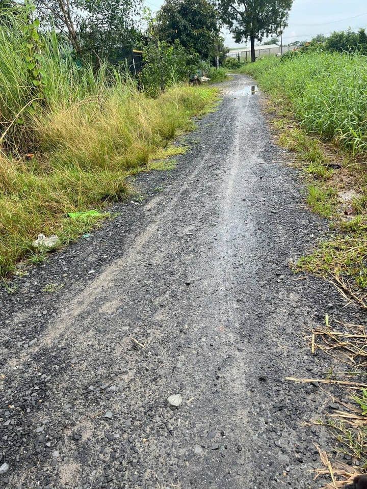 Bán đất Đ. Đức Hòa Thượng, Tt. Đức Hòa, H. Đức Hòa, T. Long An - Ảnh 2