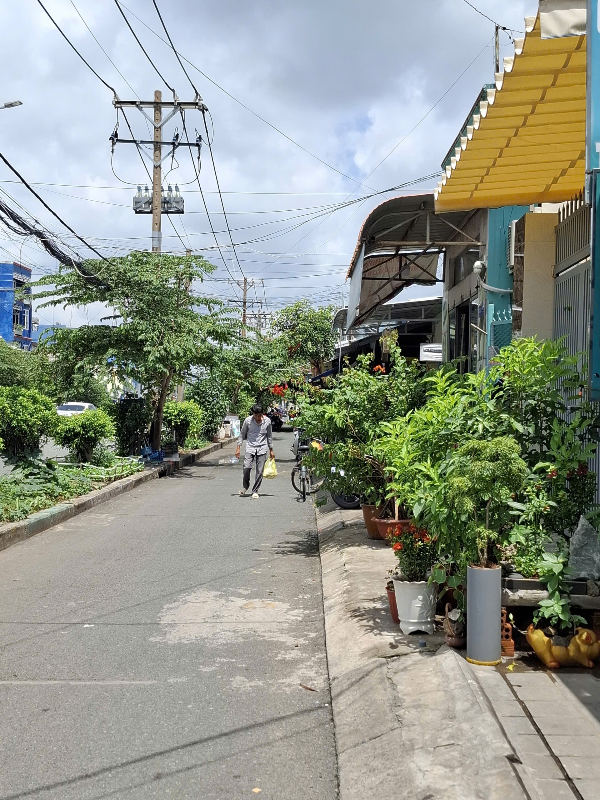 Bán nhà mặt phố Bán nhà mặt tiền đường, P. Cát Lái, Tp. Thủ Đức, Tp. Hồ Chí Minh - Ảnh 2