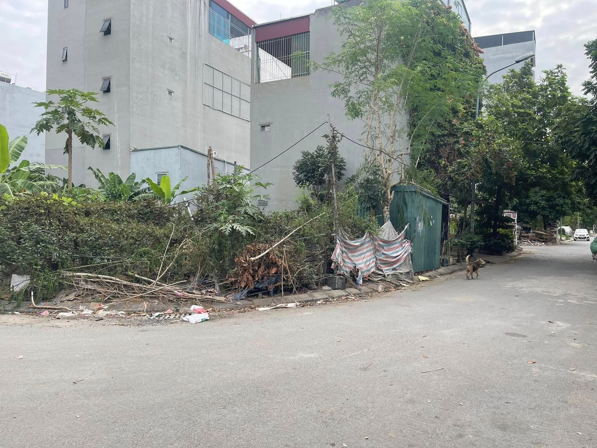 Bán đất Đ. La Dương, P. Dương Nội, Q. Hà Đông, Tp. Hà Nội - Ảnh 3