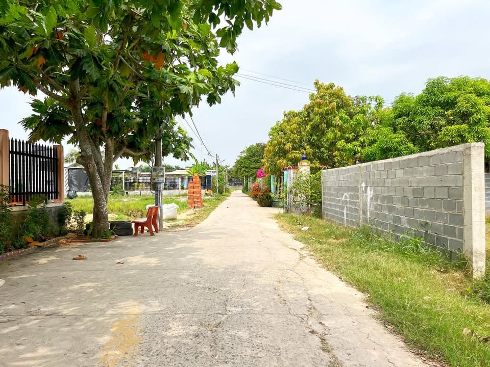 Bán đất Đ. ĐT 825, Tt. Hậu Nghĩa, H. Đức Hòa, T. Long An