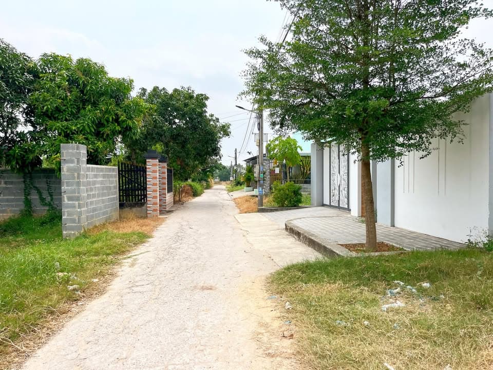 Bán đất Đ. ĐT 825, Tt. Hậu Nghĩa, H. Đức Hòa, T. Long An - Ảnh 2