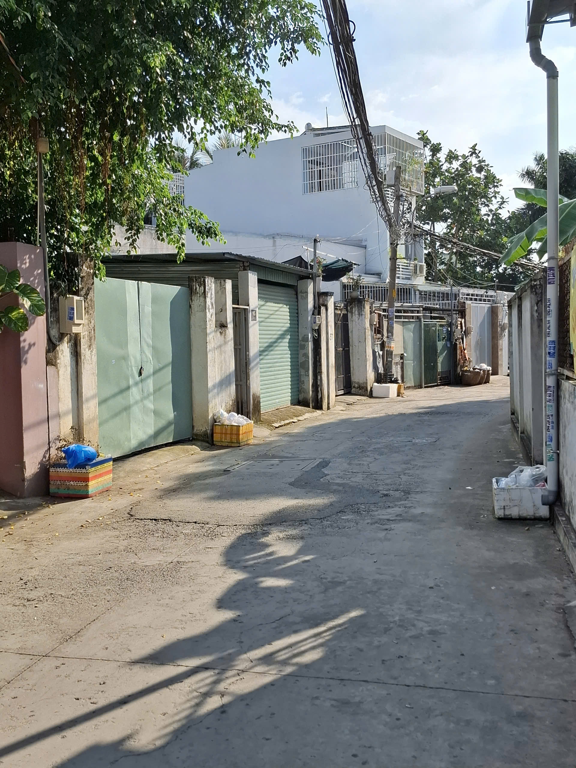 Bán đất Đ. 2, P. Bình Trưng Đông, Tp. Thủ Đức, Tp. Hồ Chí Minh - Ảnh 2