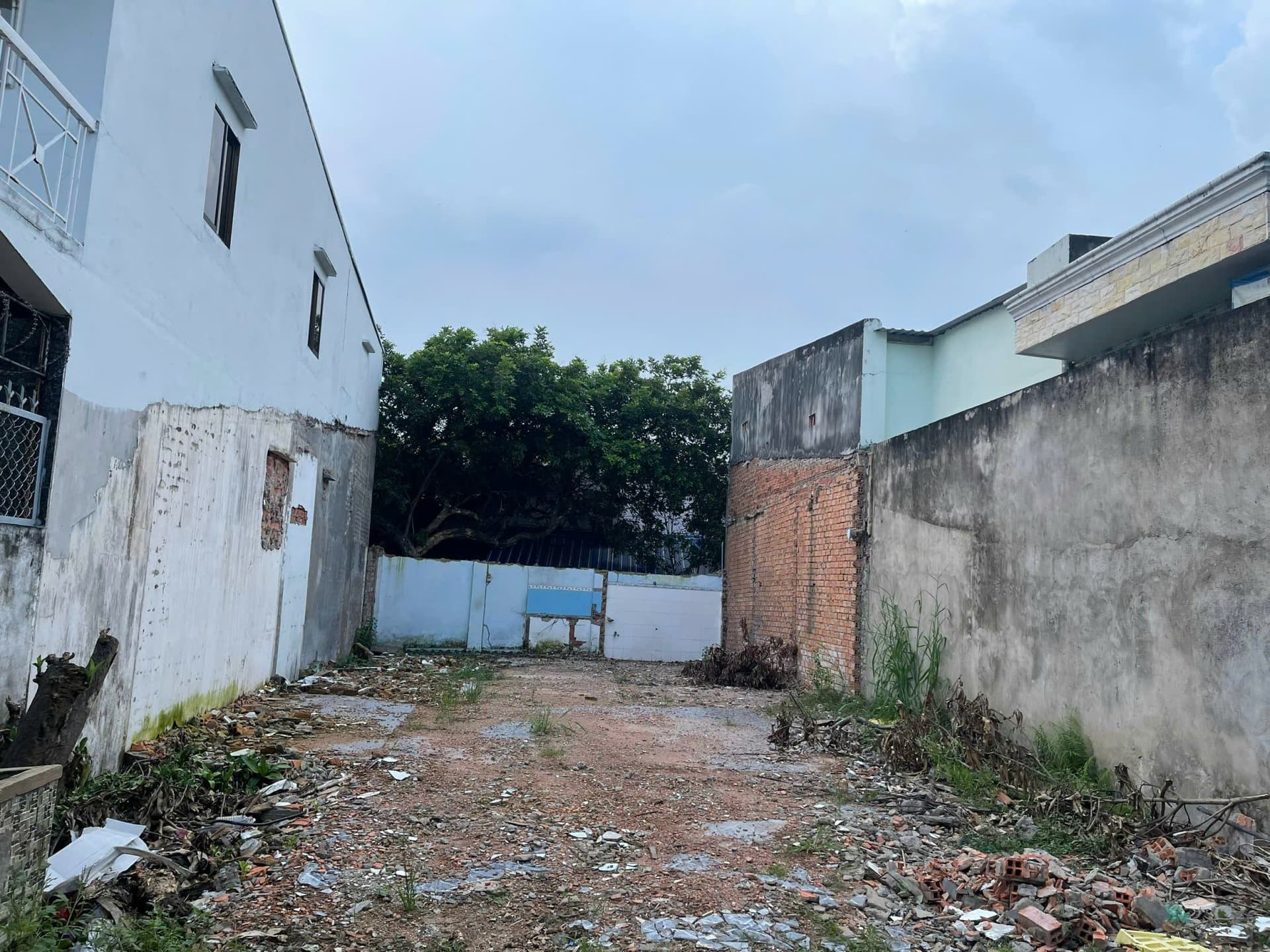 Bán đất P. Tăng Nhơn Phú B, Tp. Thủ Đức, Tp. Hồ Chí Minh - Ảnh 2