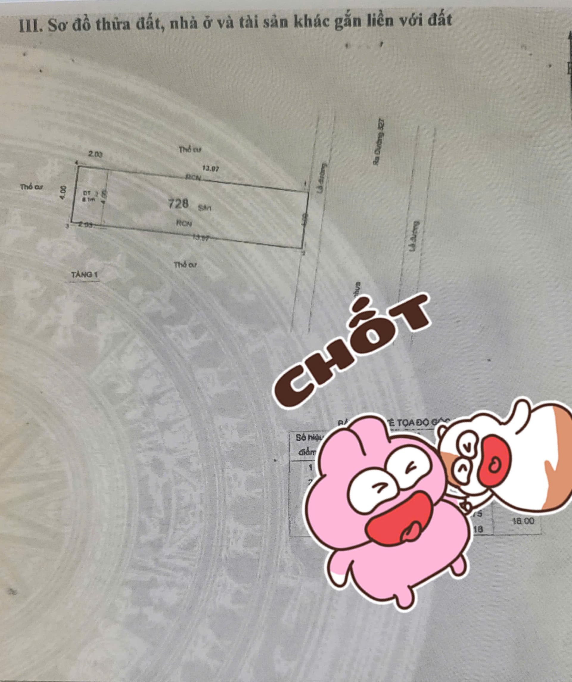 Bán đất Đ. 827, P. Phú Hữu, Tp. Thủ Đức, Tp. Hồ Chí Minh - Ảnh 3