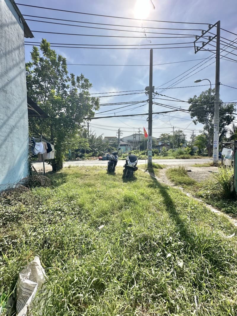 Bán đất X. Lê Minh Xuân, H. Bình Chánh, Tp. Hồ Chí Minh - Ảnh 2