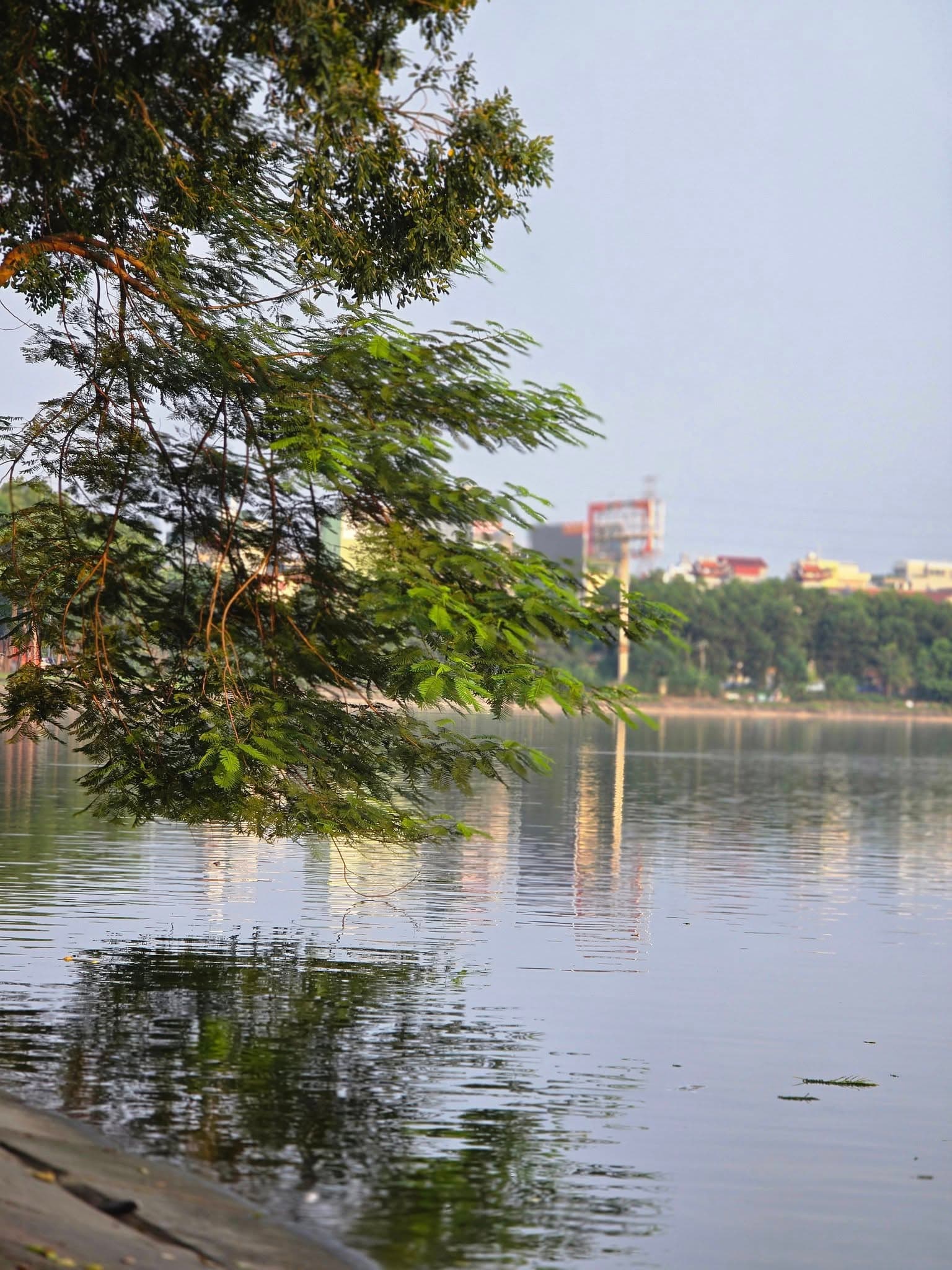 Bán nhà mặt phố Đ. Nguyễn Hữu Thọ, P. Đại Kim, Q. Hoàng Mai, Tp. Hà Nội