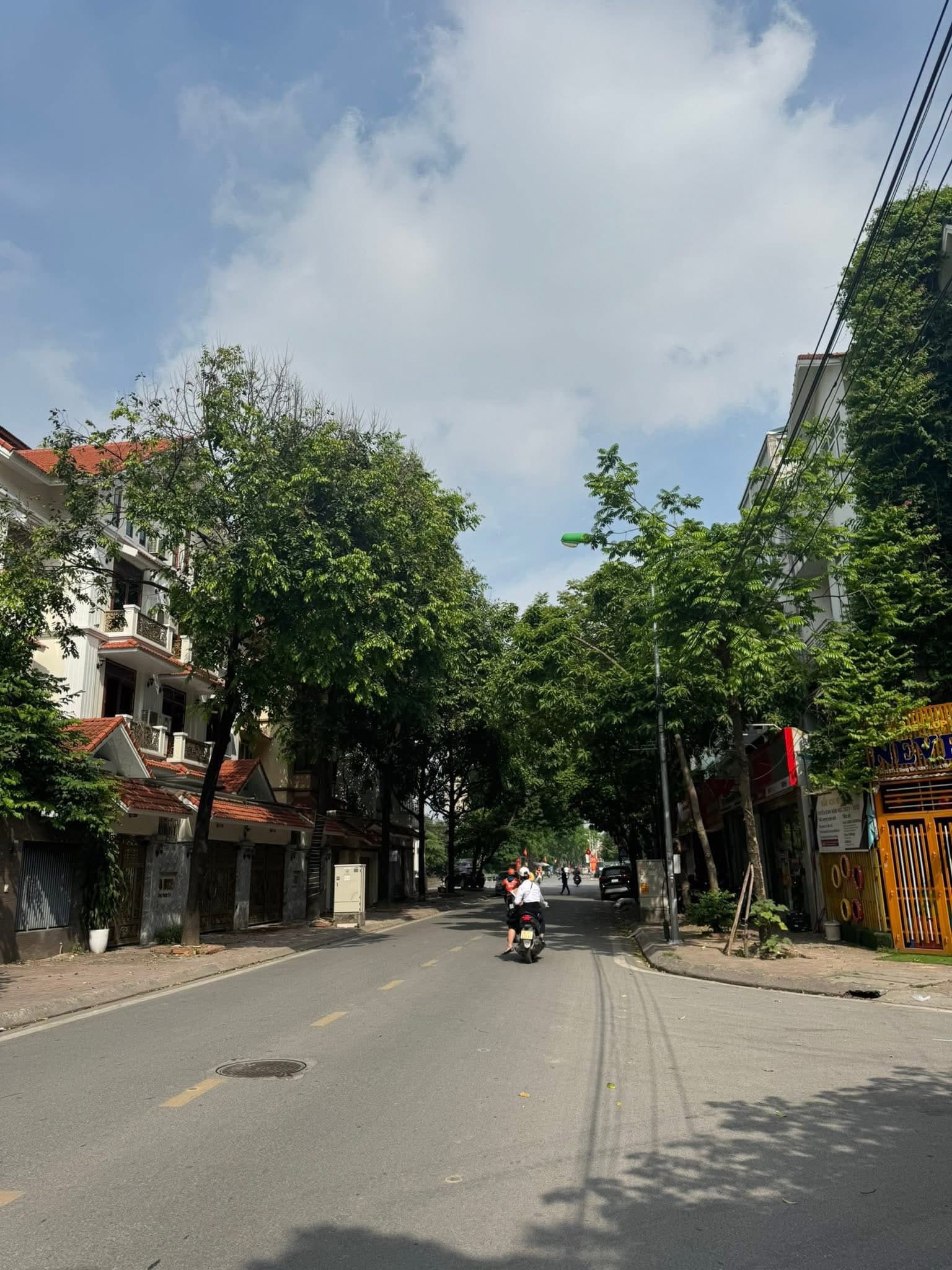 Bán đất Đ. Đại Linh, P. Trung Văn, Q. Nam Từ Liêm, Tp. Hà Nội - Ảnh 2