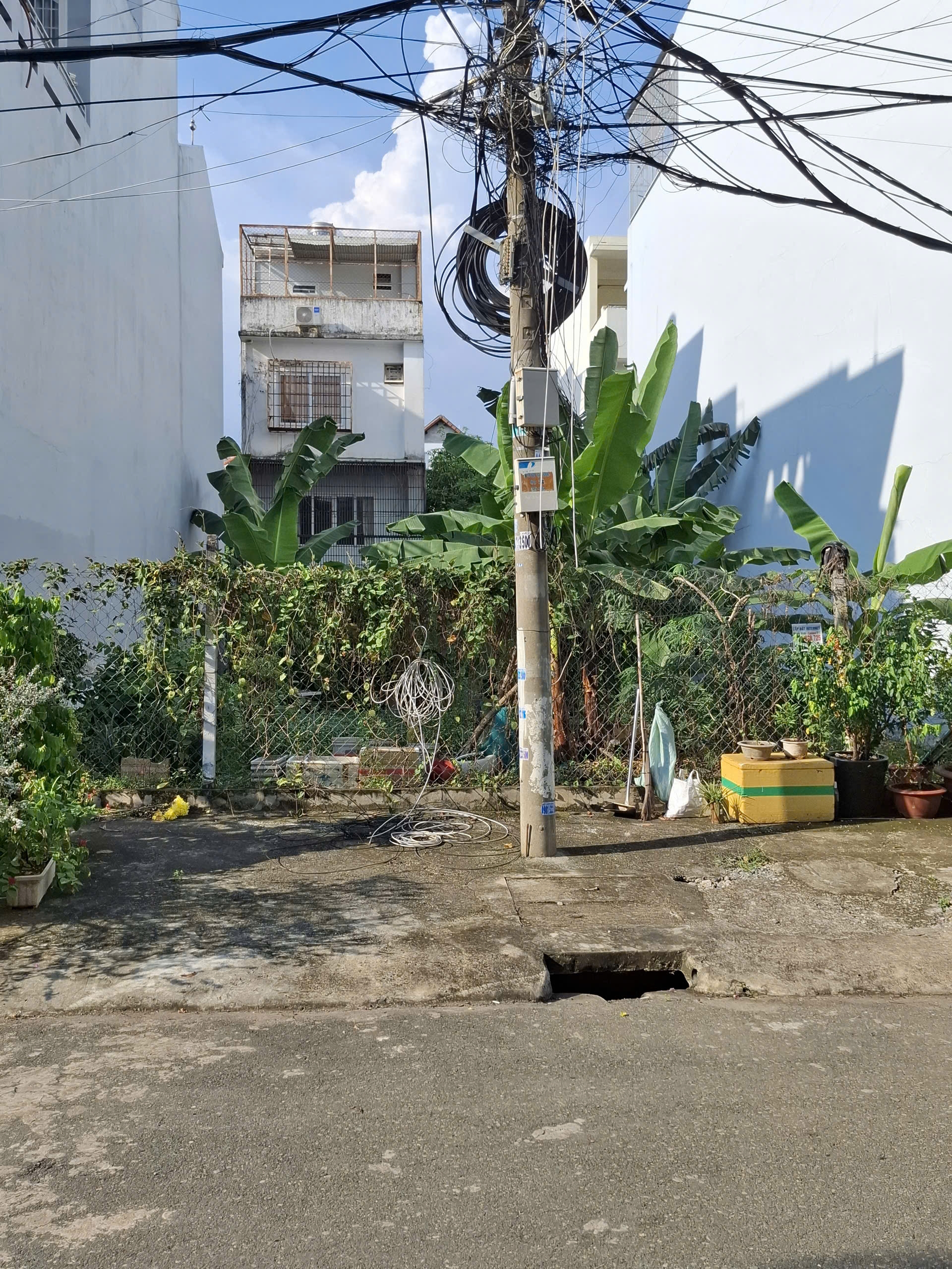 Bán đất P. Bình Trưng Đông, Tp. Thủ Đức, Tp. Hồ Chí Minh - Ảnh 3