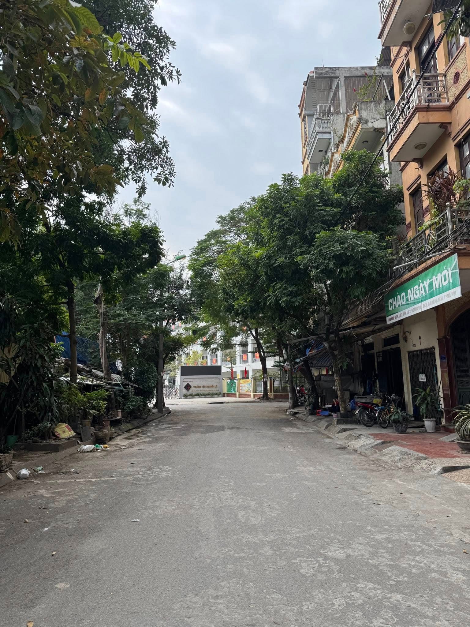 Bán biệt thự liền kề Đ. Linh Đàm, Q. Hoàng Mai, Tp. Hà Nội - Ảnh 3