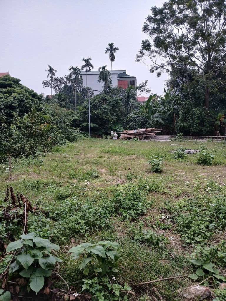 Bán đất Đ. Tứ Hiệp, X. Yên Mỹ, H. Thanh Trì, Tp. Hà Nội