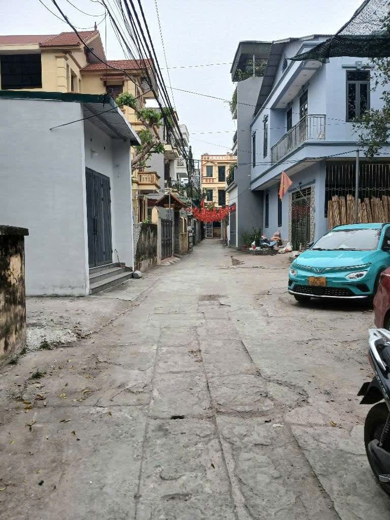 Bán đất Đ. Tứ Hiệp, X. Yên Mỹ, H. Thanh Trì, Tp. Hà Nội - Ảnh 2