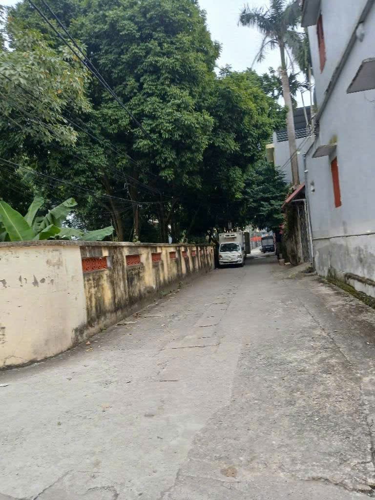 Bán đất Đ. Tứ Hiệp, X. Yên Mỹ, H. Thanh Trì, Tp. Hà Nội - Ảnh 3