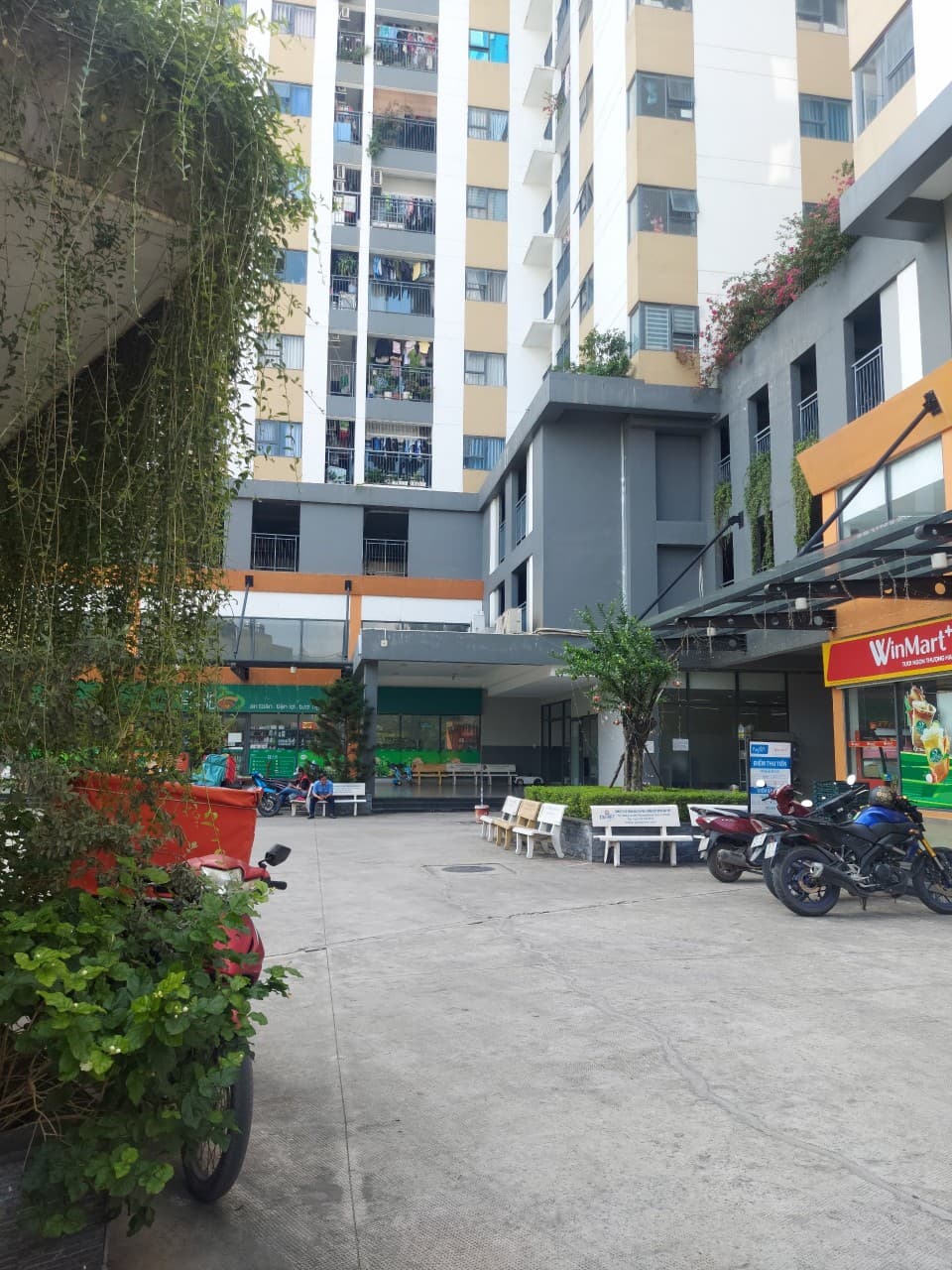 Bán shophouse, nhà phố thương mại P. Phước Long B, Tp. Thủ Đức, Tp. Hồ Chí Minh - Ảnh 3