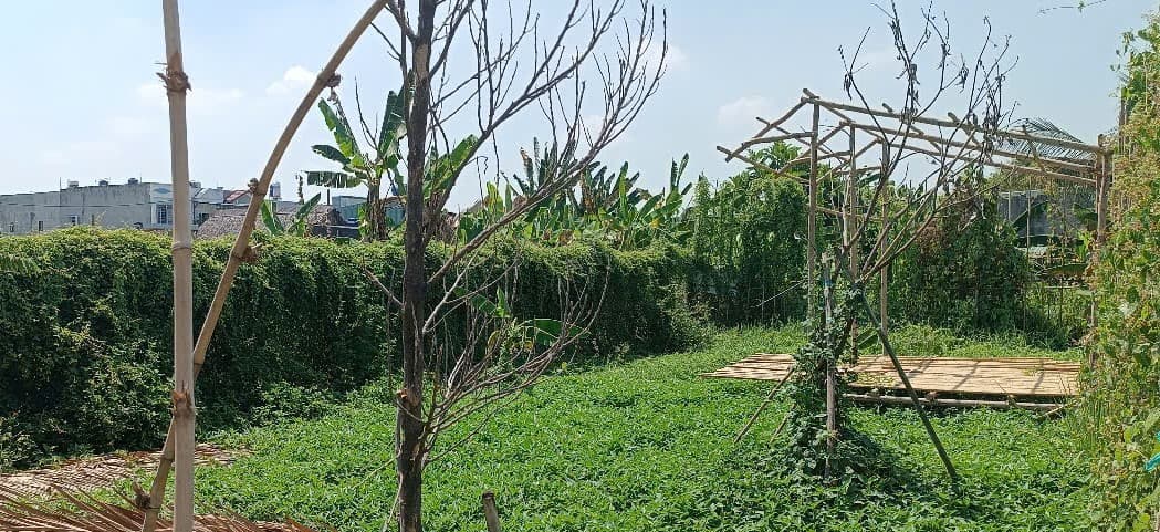 Bán đất H. Củ Chi, Tp. Hồ Chí Minh - Ảnh 2