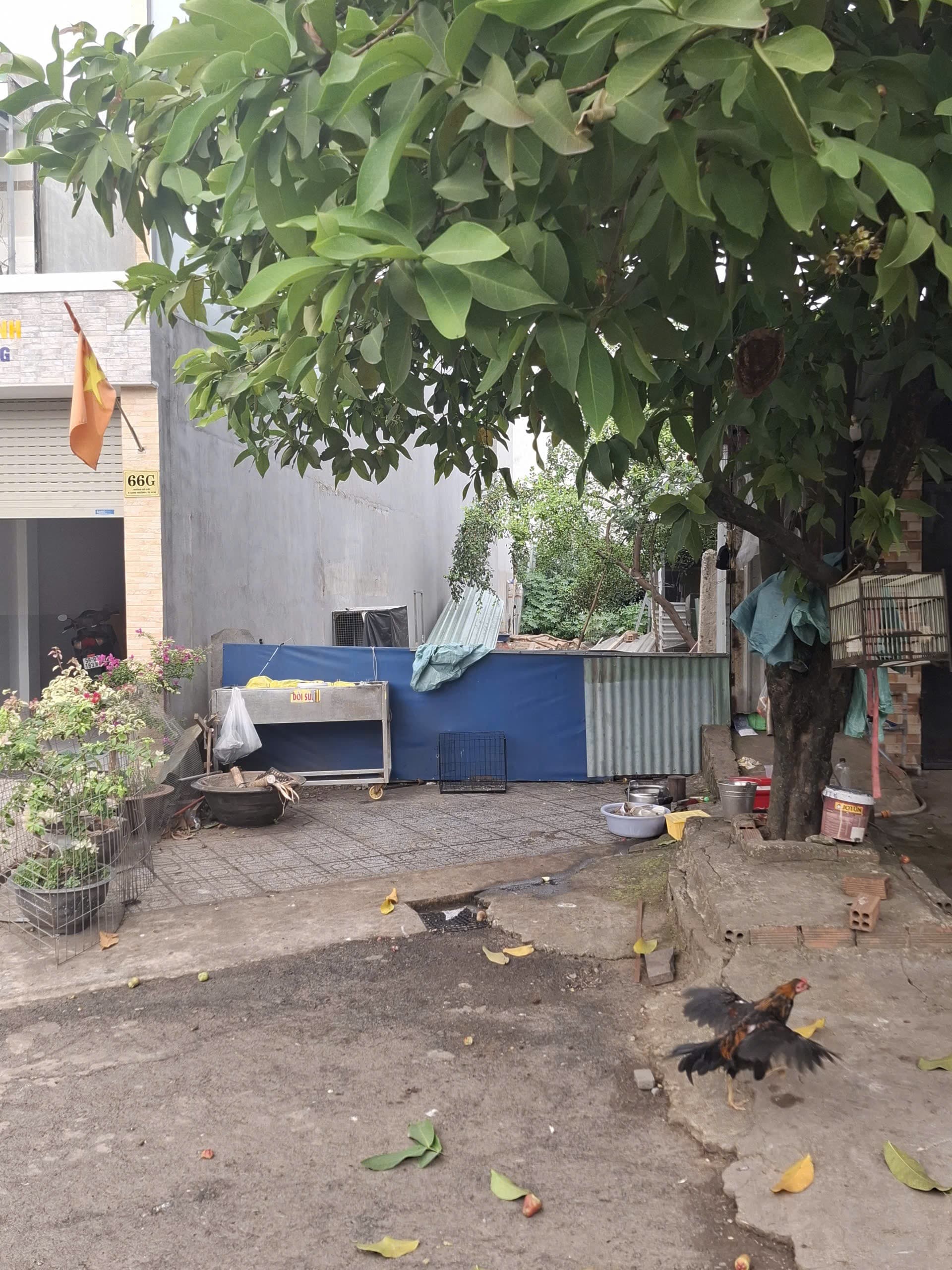 Bán đất P. Phú Hữu, Tp. Thủ Đức, Tp. Hồ Chí Minh