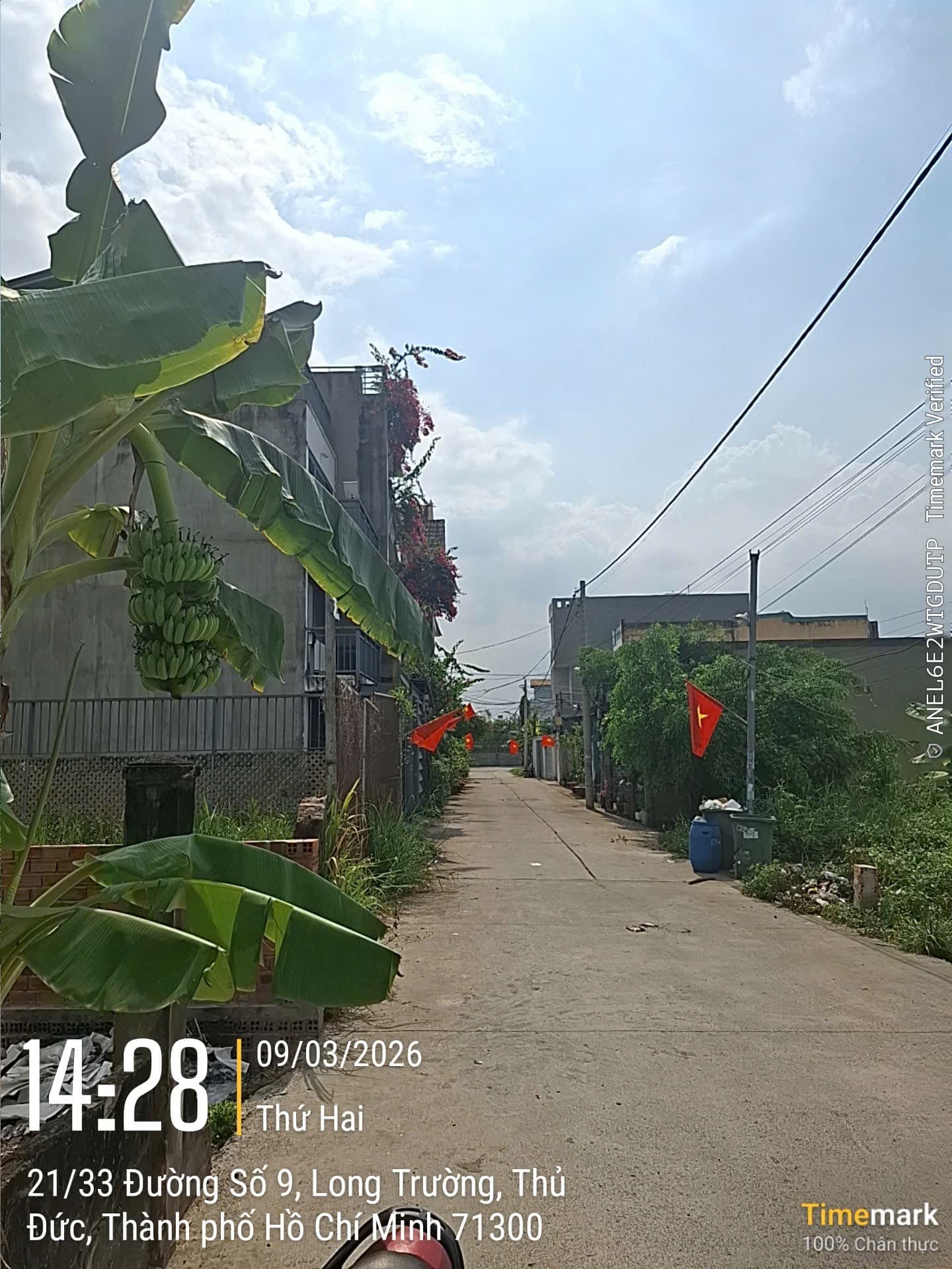 Bán đất Đ. 9, P. Long Trường, Tp. Thủ Đức, Tp. Hồ Chí Minh - Ảnh 3