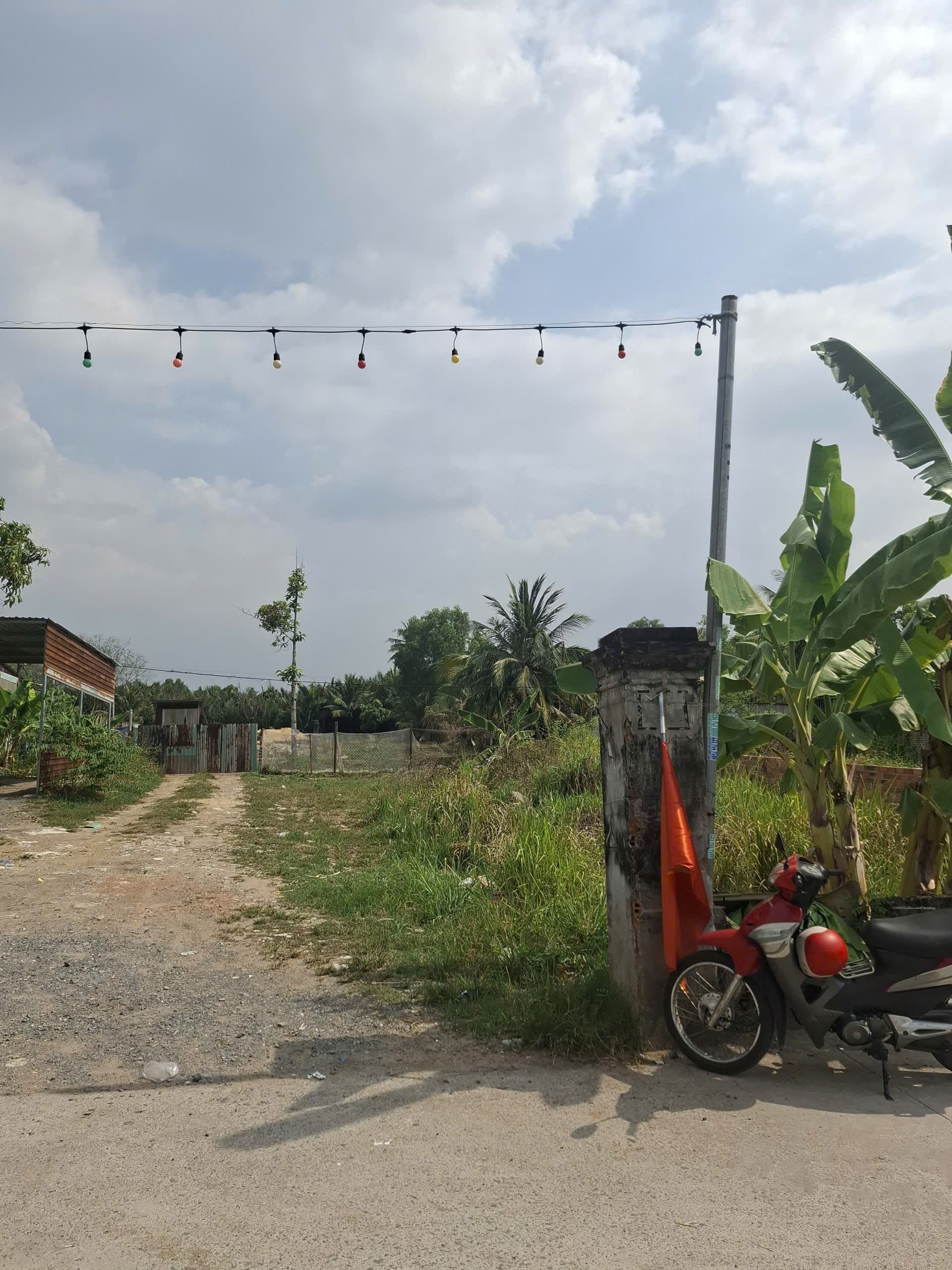 Bán đất Đ. 9, P. Long Trường, Tp. Thủ Đức, Tp. Hồ Chí Minh