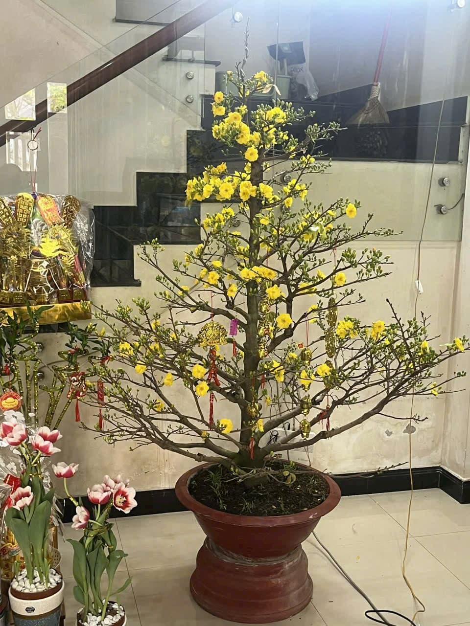 Bán nhà mặt phố P. Nại Hiên Đông, Q. Sơn Trà, Tp. Đà Nẵng - Ảnh 2