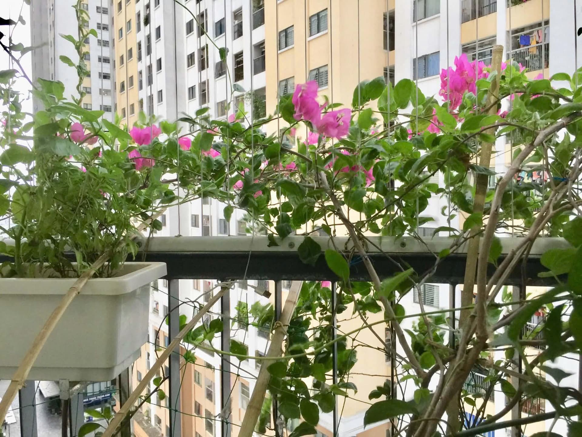 Bán căn hộ chung cư Số 1 Nghiêm Xuân Yêm, Đại Kim, Tòa B - VC2 Golden Heart, Q. Hoàng Mai, Tp. Hà Nội - Ảnh 3