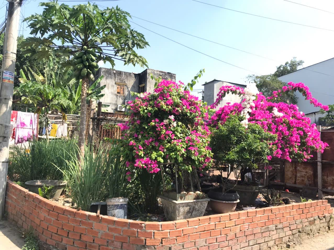 Bán đất P. Tân Phú, Tp. Thủ Đức, Tp. Hồ Chí Minh - Ảnh 2