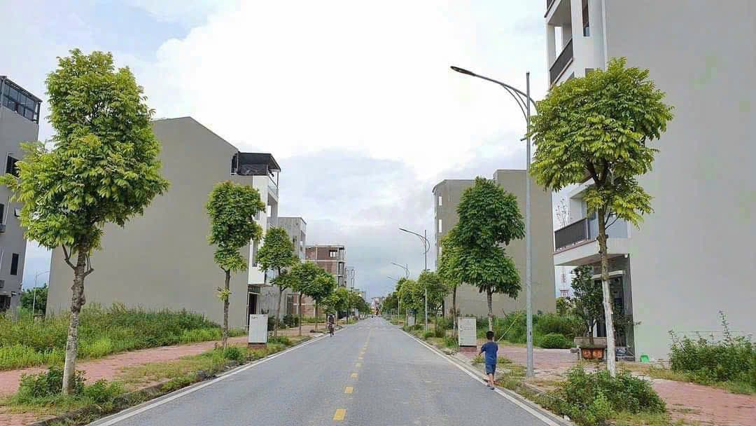 Bán đất KDC Trần Hưng Đạo, P. Ngọc Châu, Tp. Hải Dương, T. Hải Dương - Ảnh 3