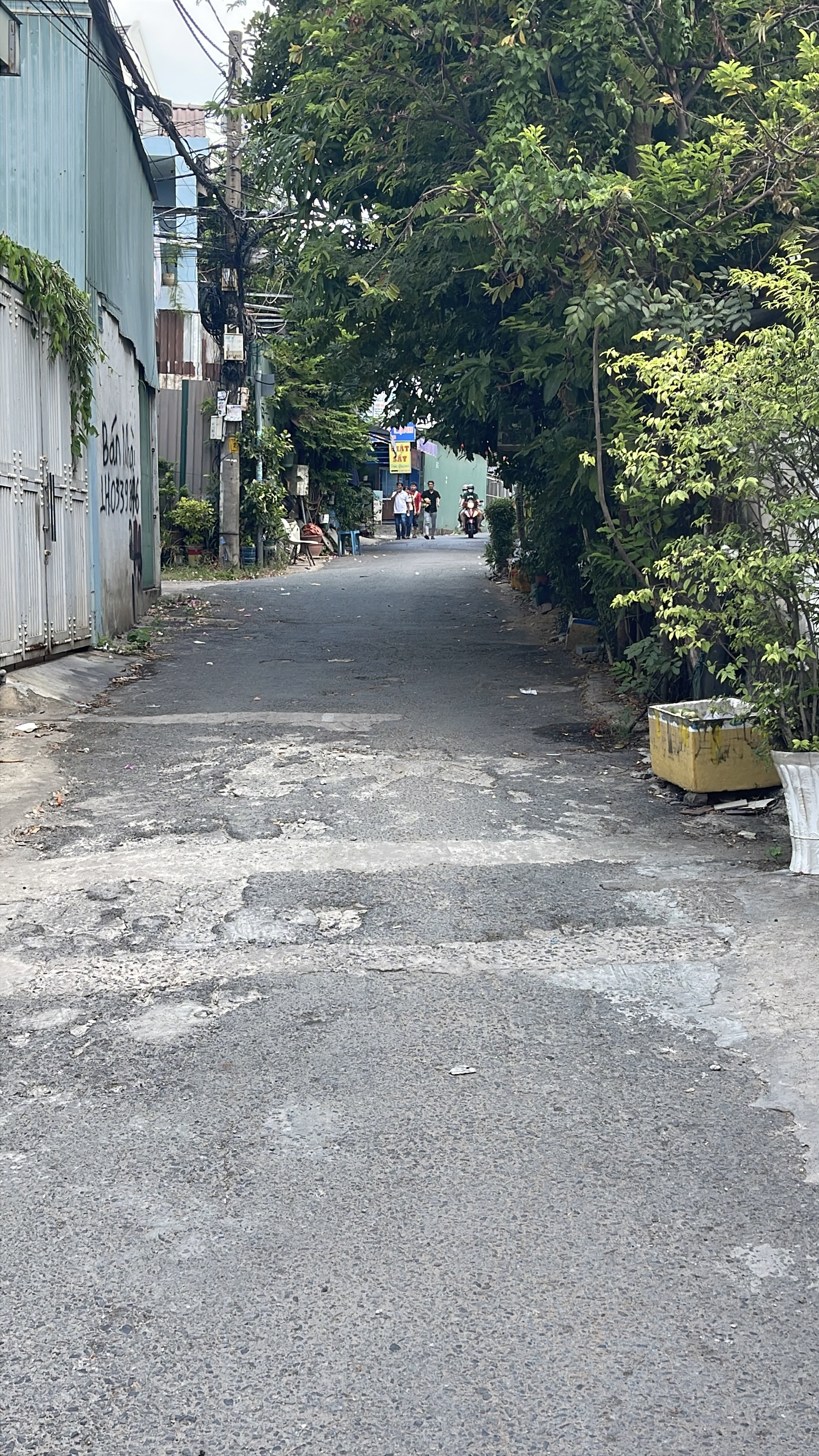 Bán đất P. Tăng Nhơn Phú B, Tp. Thủ Đức, Tp. Hồ Chí Minh - Ảnh 3