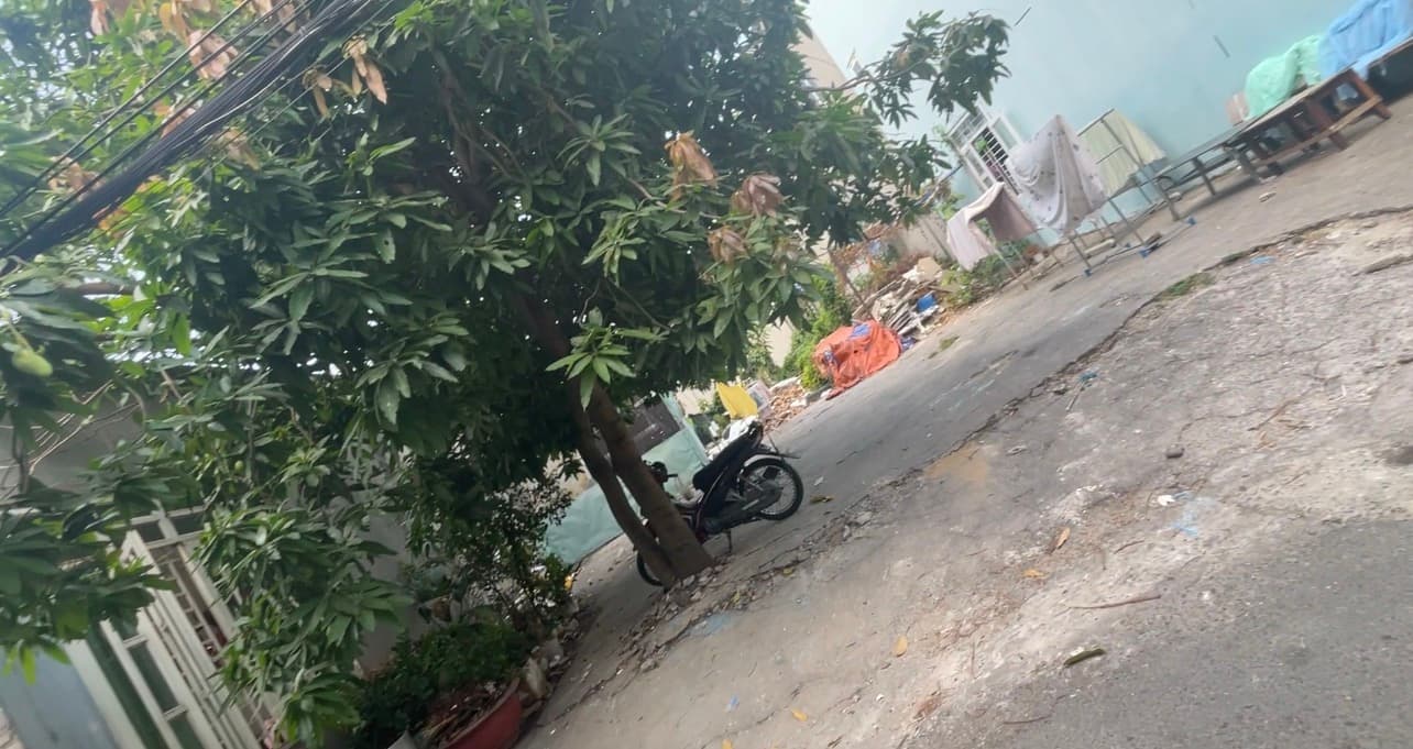 Bán đất P. Tăng Nhơn Phú B, Tp. Thủ Đức, Tp. Hồ Chí Minh - Ảnh 2