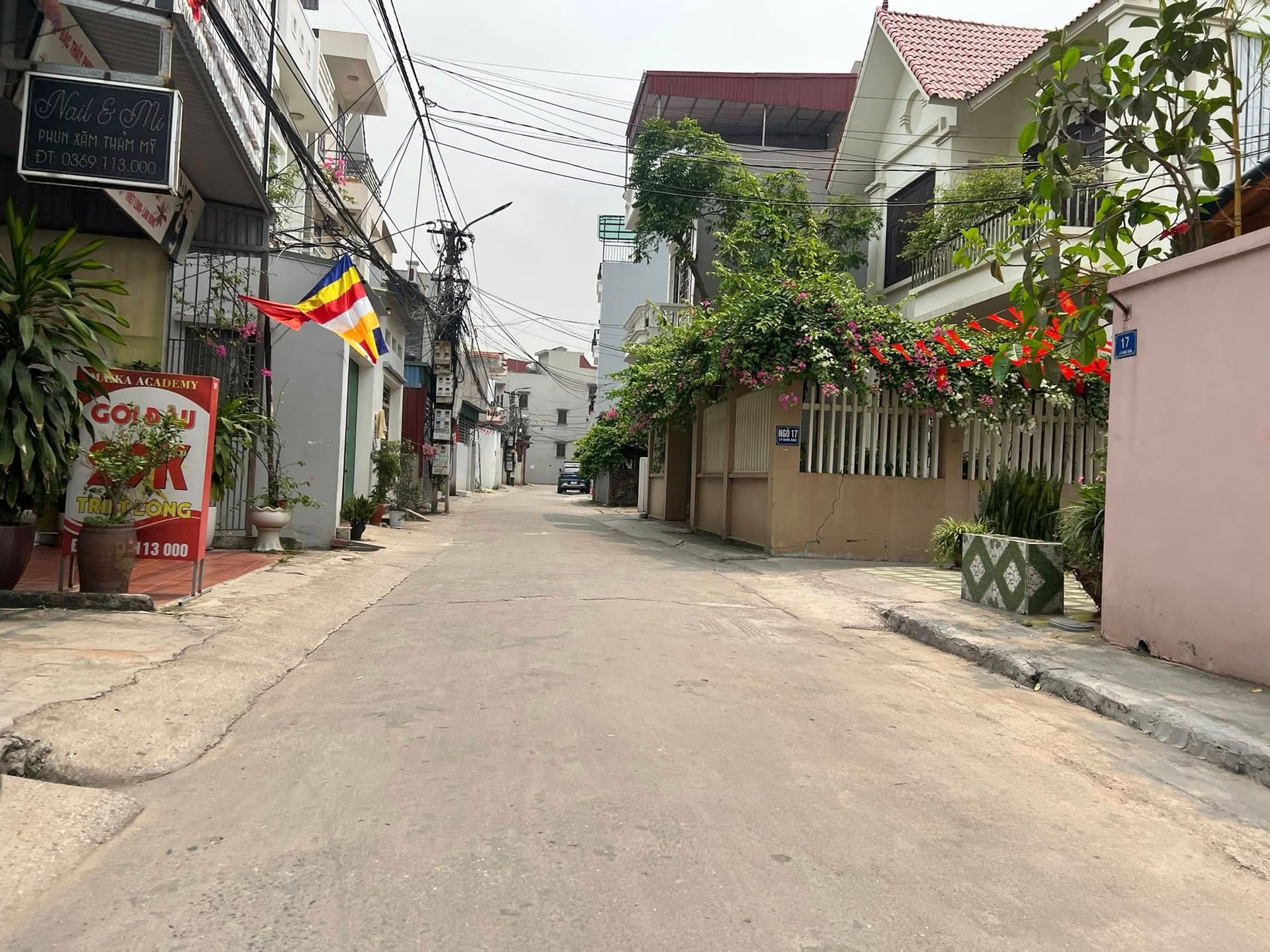 Bán đất Đ. Lý Quốc Bảo, P. Nhị Châu, Tp. Hải Dương, T. Hải Dương - Ảnh 2