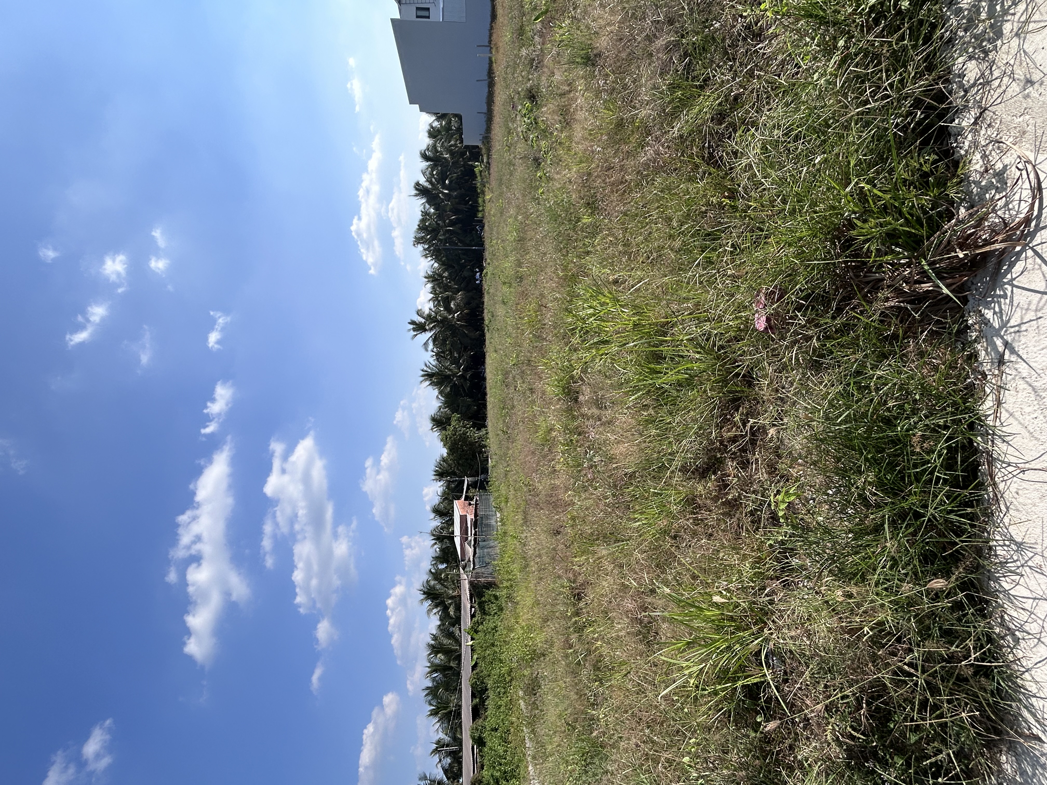 Bán đất X. Phước Thạnh, Tp. Mỹ Tho, T. Tiền Giang