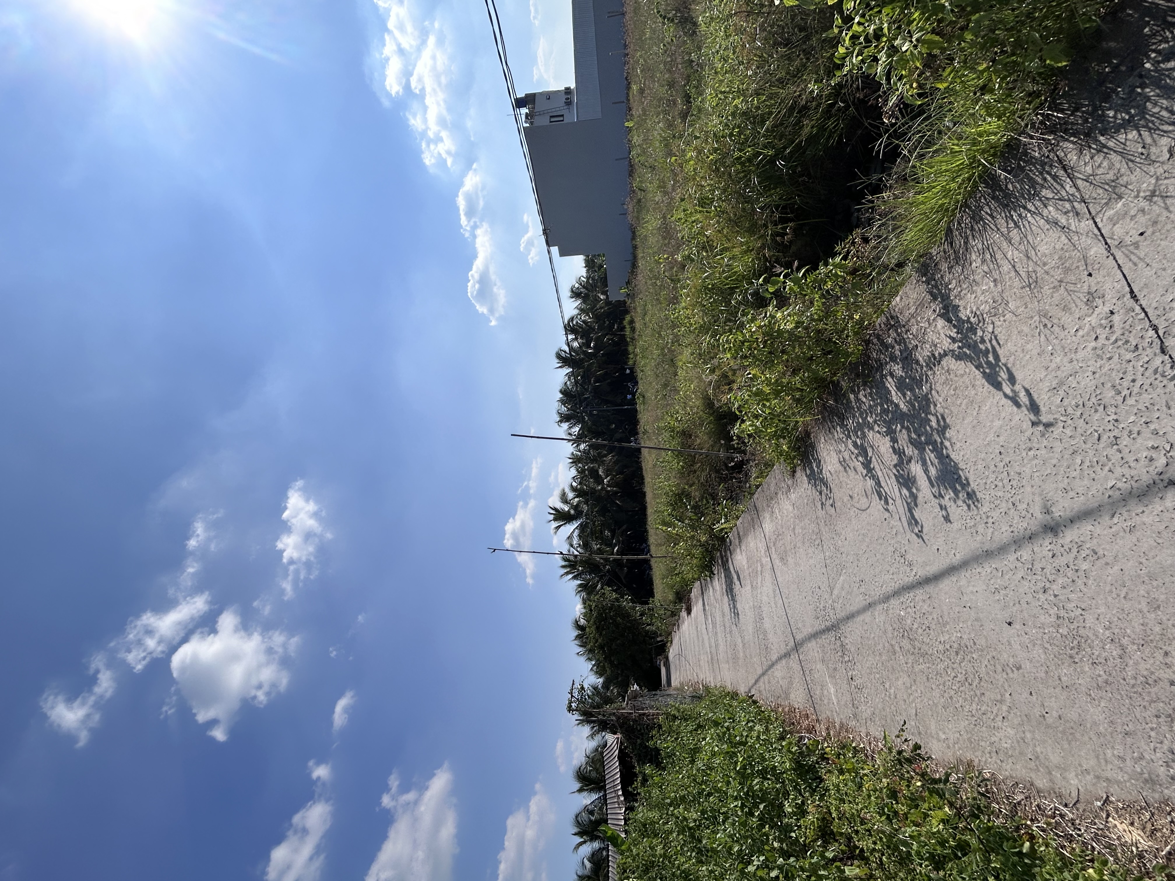 Bán đất X. Phước Thạnh, Tp. Mỹ Tho, T. Tiền Giang - Ảnh 2