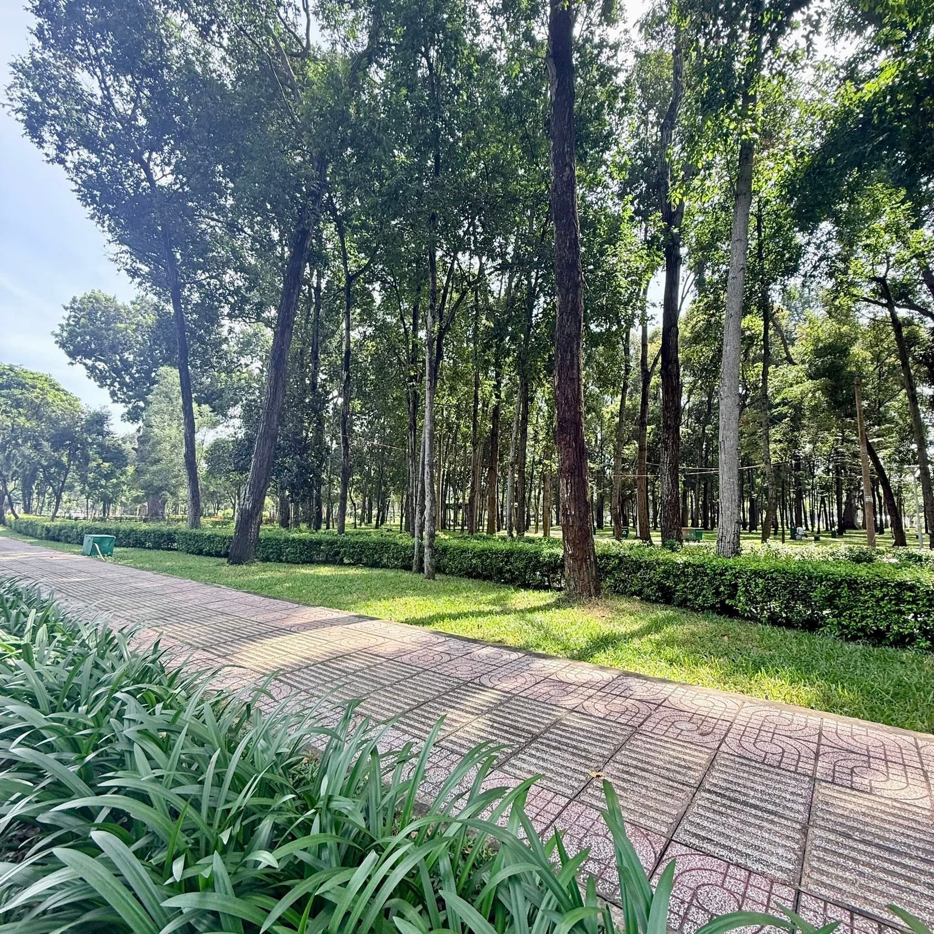 Bán nhà riêng Đ. Hồng Hà, P. 9, Q. Phú Nhuận, Tp. Hồ Chí Minh