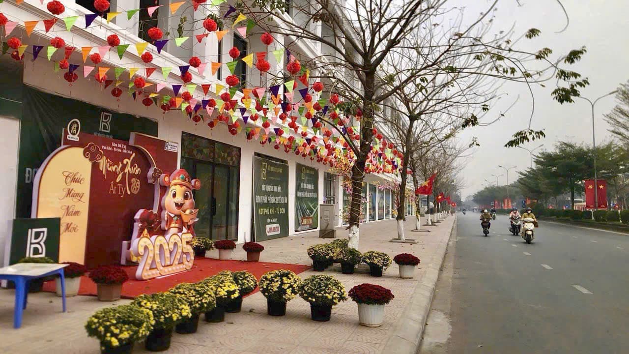 Bán đất Tp. Từ Sơn, T. Bắc Ninh - Ảnh 3