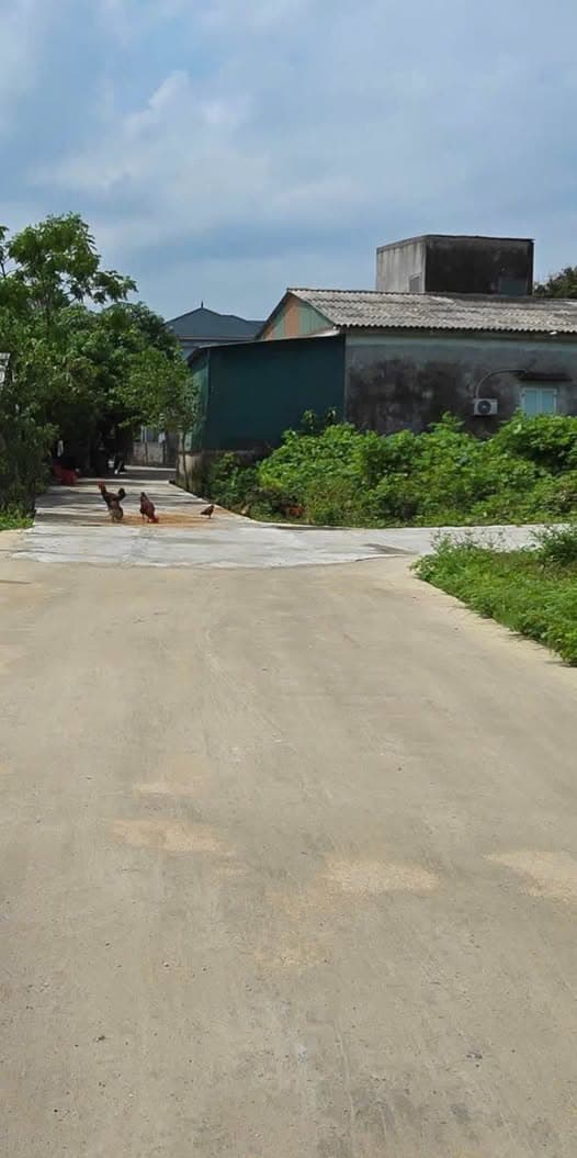 Bán đất P. Trần Phú, Tp. Hà Tĩnh, T. Hà Tĩnh